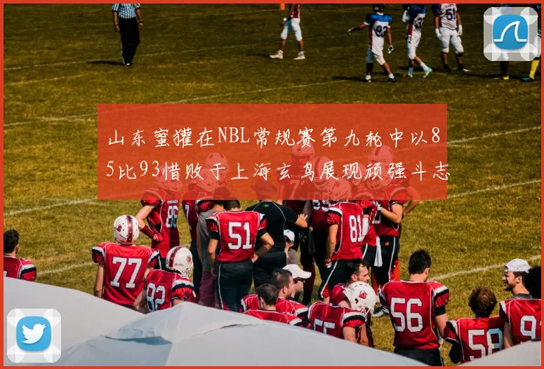 山东蜜獾在NBL常规赛第九轮中以85比93惜败于上海玄鸟展现顽强斗志